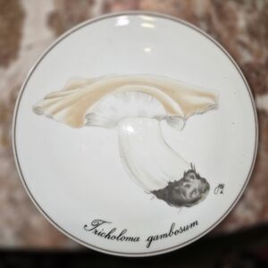 Ceramic Collectors Coaster, Decorative, Holes To Hang Up with Mushroom Theme